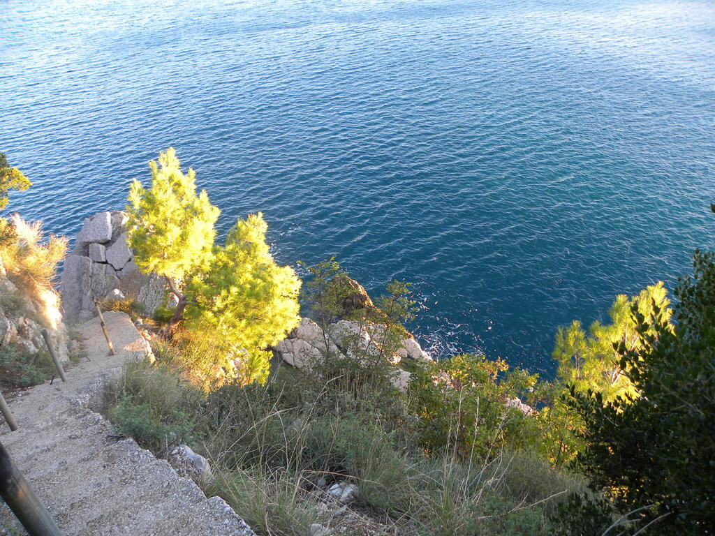 Almaja Petrovac