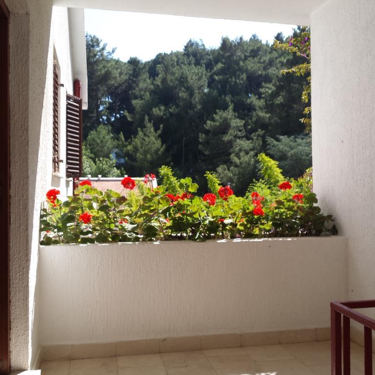 Apartment Almaja